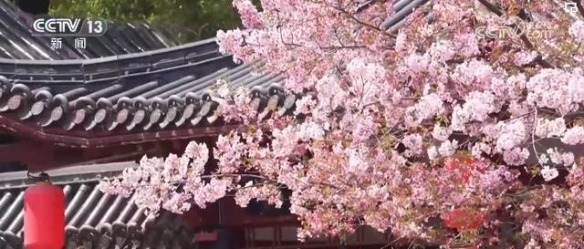 “花式”促销费激发经济活力消费市场“掀热浪”活力满满(图5)