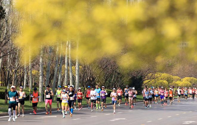 从只有26人到一签难求——“石马”见证石家庄体育升温(图2)