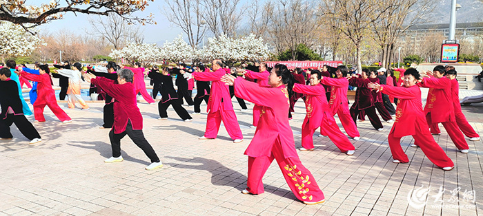 “健身泰安·幸福万家”2024年泰山区老年人体育协会太极拳培训班成功举办(图2)
