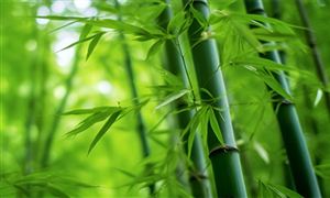 2024健身器械市场行情分析健身器材市场将面临新的挑战和机遇(图7)