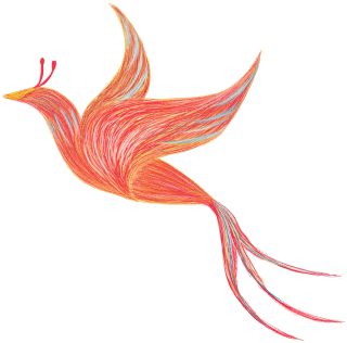 上市即秒空这些“中国制造”在巴黎卖脱销→(图6)