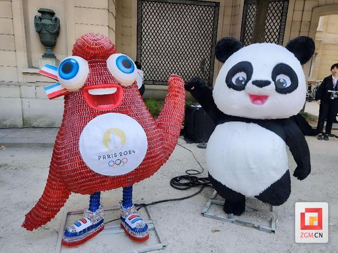 漂亮！自贡彩灯亮相巴黎奥运会(图4)