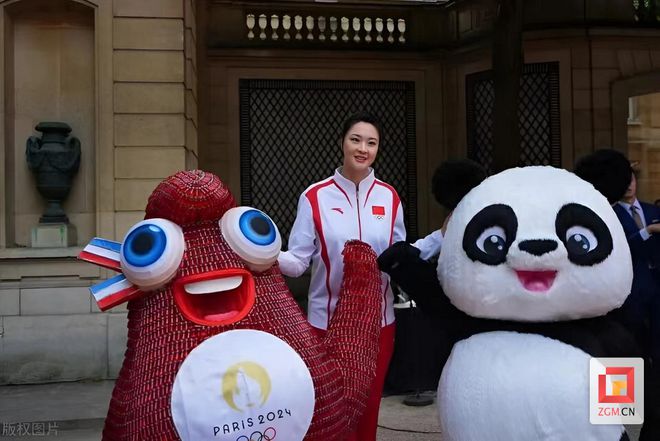 漂亮！自贡彩灯亮相巴黎奥运会(图5)