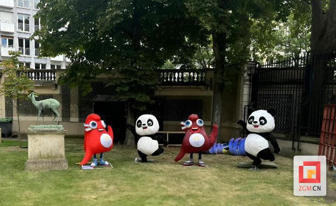 漂亮！自贡彩灯亮相巴黎奥运会(图3)