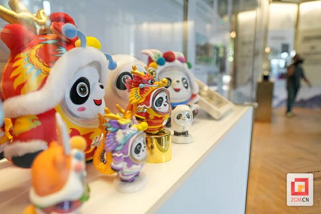 漂亮！自贡彩灯亮相巴黎奥运会(图6)