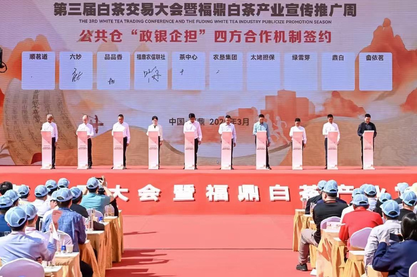 第三届白茶交易大会暨福鼎白茶产业宣传推广周活动举行(图2)